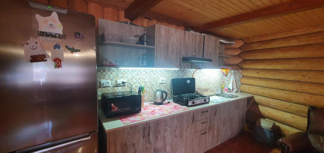 Прутець Villa Mykulychyn Dış mekan fotoğraf