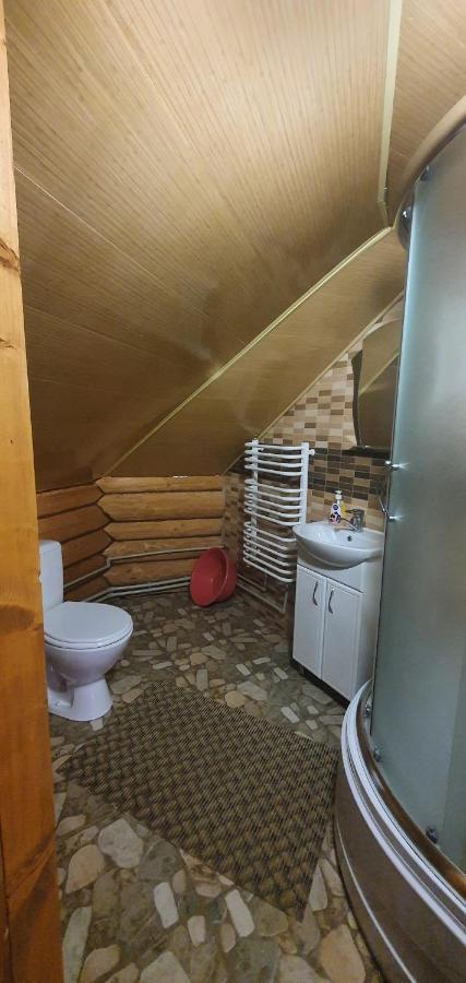 Прутець Villa Mykulychyn Dış mekan fotoğraf